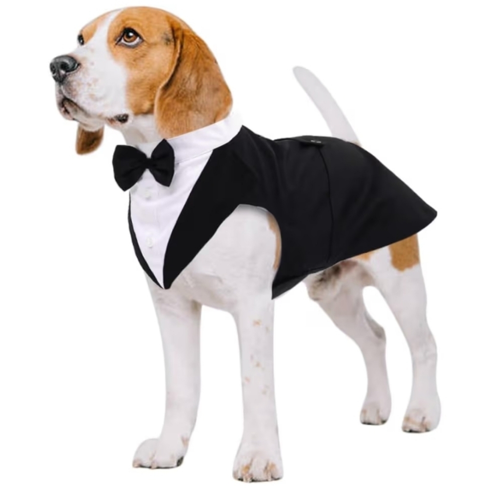 Black and White Dog Tuxedo